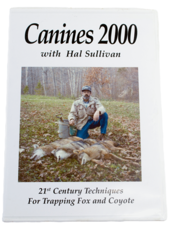 DVD cover for "Hal Sullivan - Canines 2000" shows canine trapping, man with captured foxes and coyote.