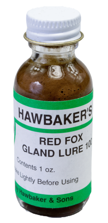 1 oz brown bottle with a green and white label reading "Hawbaker's Red Fox Gland Lure 100," perfect for trapping.