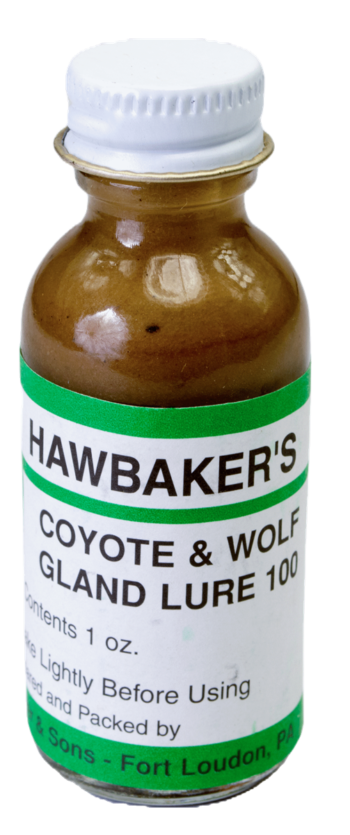 1 oz bottle labeled "Hawbaker's Coyote & Wolf Gland Lure 100" with a white cap and green accents.