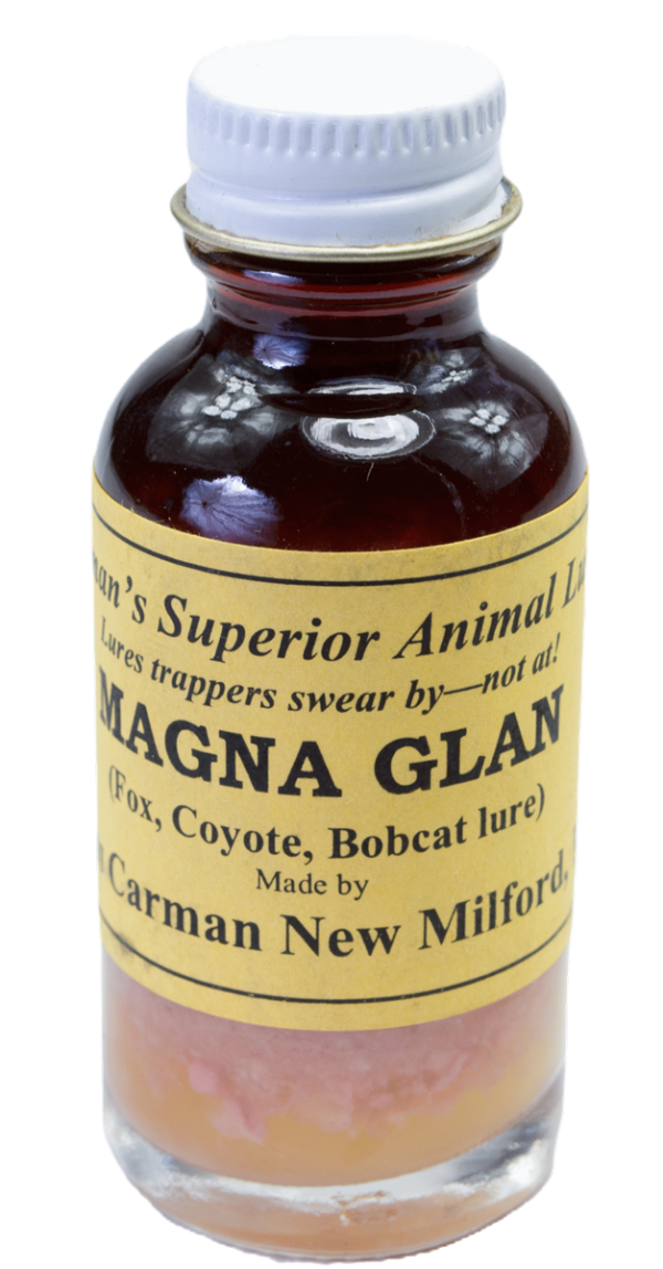 A small glass bottle labeled "Carman's Magna Glan Lure," a perfect trapping lure for foxes, coyotes, and bobcats.