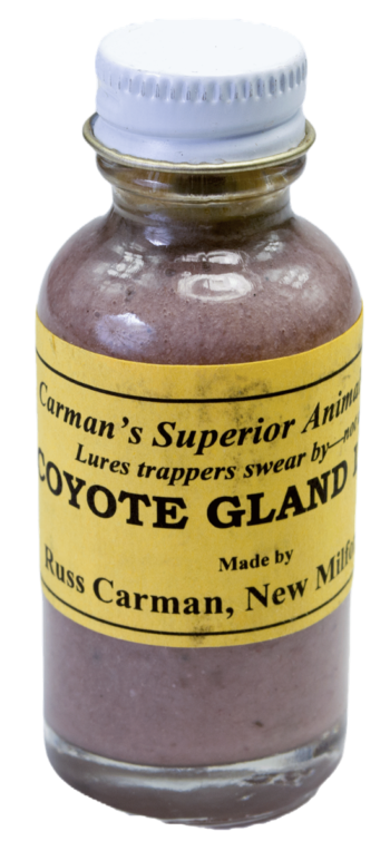 A small glass bottle labeled "Carman's Coyote Gland Lure" with a white screw cap, used for trapping.