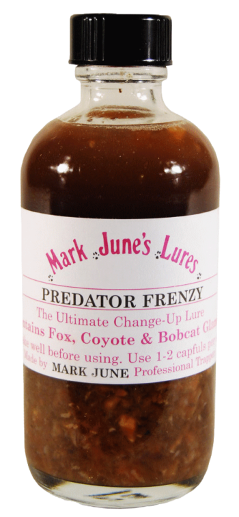 A bottle of Mark June's Predator Frenzy Lure to attract foxes, coyotes, and bobcats.