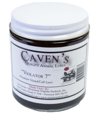 Jar of Caven's Violator 7 Lure, a predator gland trap lure for coyotes and bobcats from Minnesota Trapline Products.