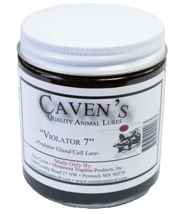 Jar of Caven's Violator 7 Lure, a predator gland trap lure for coyotes and bobcats from Minnesota Trapline Products.