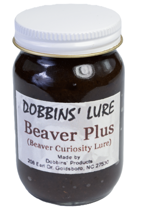 Jar of Dobbins' Beaver Plus Lure, a top trapping lure for beaver curiosity with contact info at the bottom.