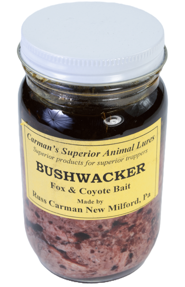 Carman's Bushwacker Bait jar with yellow label, ideal for fox and coyote trapping with its dark contents.