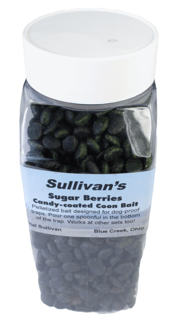 A clear plastic bottle labeled "Sullivan's Sugar Berries Bait" contains dark, candy-coated coon bait.