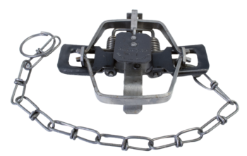 Bridger #1 Regular Jaw Coil Spring Trap: features chain and spring-loaded jaws for effective trapping.