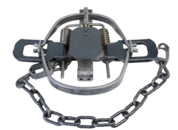 Bridger #1.65 Regular Jaw Coil Spring Trap includes a chain, two springs, and a central trigger plate.