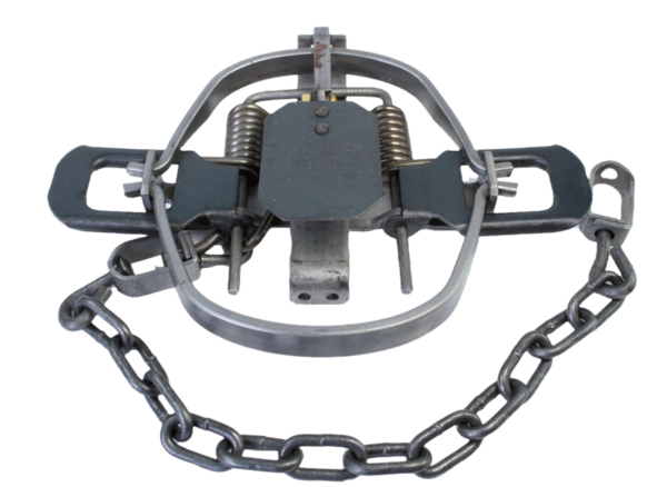 Bridger #1.65 Regular Jaw Coil Spring Trap includes a chain, two springs, and a central trigger plate.