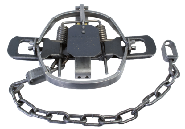 Bridger #1.65 Offset Jaw Coil Spring Trap features two springs, a bait trigger, and an attached anchoring chain.