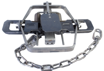 The Bridger #2 Offset Jaw Coil Spring Trap uses a spring mechanism and chain for capturing wildlife.