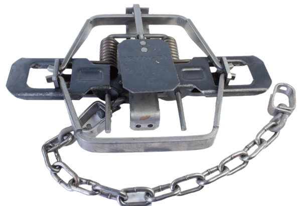 The Bridger #2 Offset Jaw Coil Spring Trap uses a spring mechanism and chain for capturing wildlife.