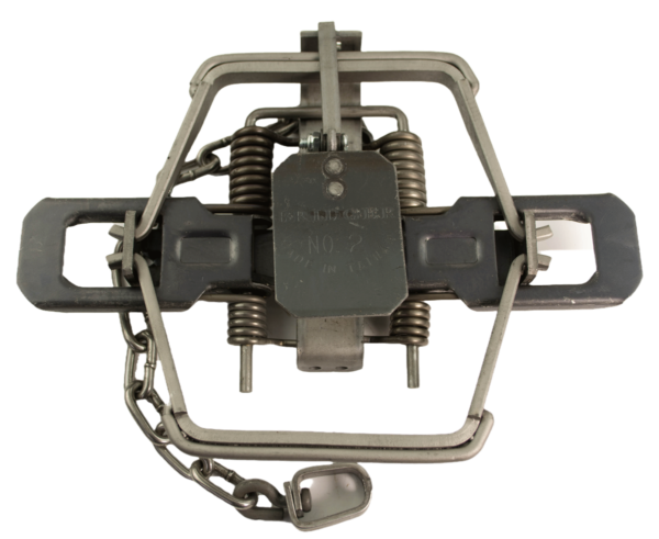 The Bridger #2 trap captures wildlife securely with offset jaws, coil springs, and an attached chain.