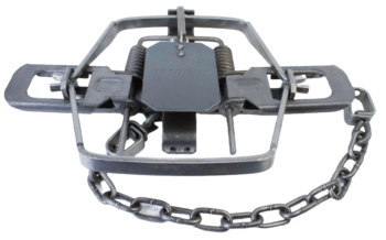 Bridger #3 Offset Jaw Coil Spring Trap features coiled springs, a pressure plate, and an attached chain.