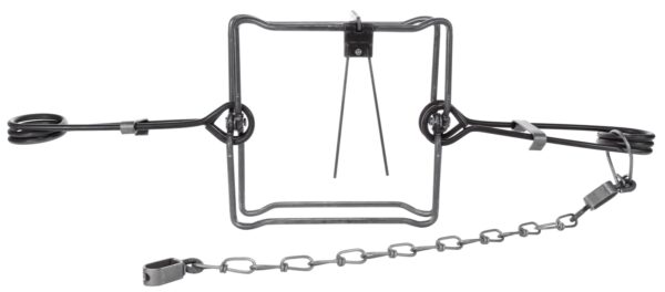 Bridger #220 Body Grip Trap with a square frame, coil springs, and chain on a white background.