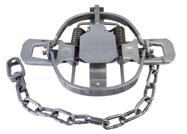 Bridger #1-1/2 Regular Jaw Coil Spring Trap with dual jaws, central pan, and attached chain loop.