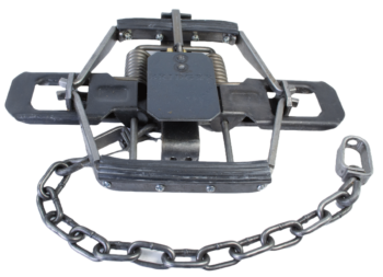 Bridger #2 Rubber Jaw Coil Spring Trap safely captures medium to large animals with its springs and chain.