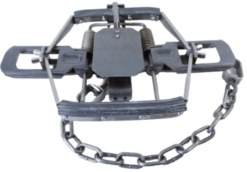 A Bridger #3 Rubber Jaw Coil Spring Trap with chain for safe animal capture.