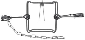 Bridger #155 Body Grip Trap: Metal animal trap with a rectangular frame, coiled springs, and chain on white background.
