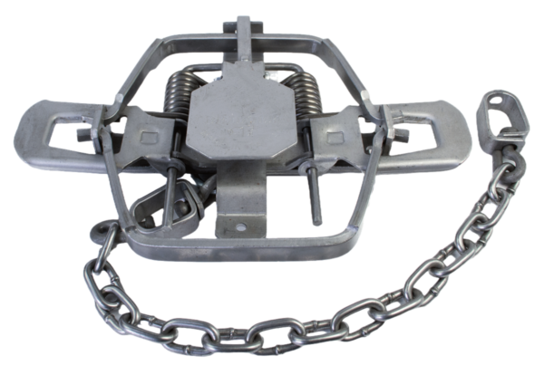 Bridger #1-3/4 Offset Jaw Coil Spring Trap, open and with chain.