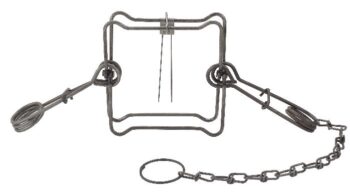 Duke #160 Body Trap with square metal frame, springs, and chain on a white background.