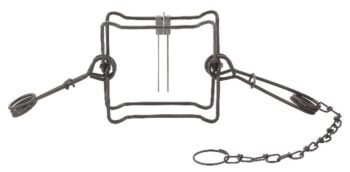 Duke #220 Body Trap: Metal with a rectangular frame, coiled springs, and looped handle.