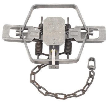 The Duke #4 Regular Jaw 4-Coiled Trap features serrated square jaws, dual springs, and an attached securing chain.