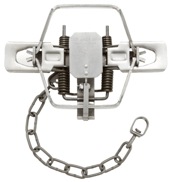 Duke #2 Square Jaw 4x4 Offset Coil Spring Trap shown open with dual springs and chain on a white background.