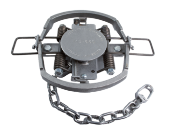 MB 650 OL Coil Spring Trap with metal springs, a round pressure plate, and an attached chain for securing.