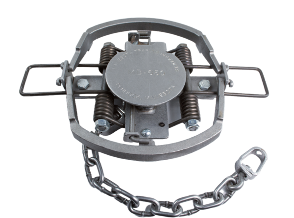 MB 650 OL Coil Spring Trap with metal springs, a round pressure plate, and an attached chain for securing.