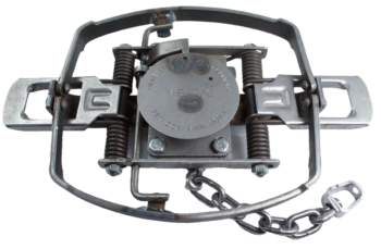 The MB-750 Beaver OS Trap features a circular center plate, dual springs, and chain; perfect for wildlife capture.