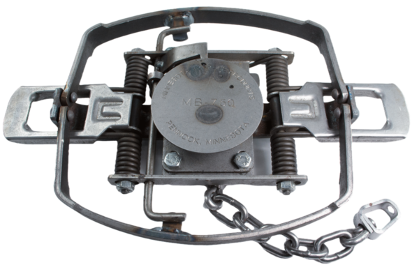 The MB-750 Beaver OS Trap features a circular center plate, dual springs, and chain; perfect for wildlife capture.