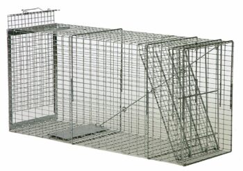 The Safeguard Box Trap #52848 has a spring-loaded door for safely capturing small animals live.